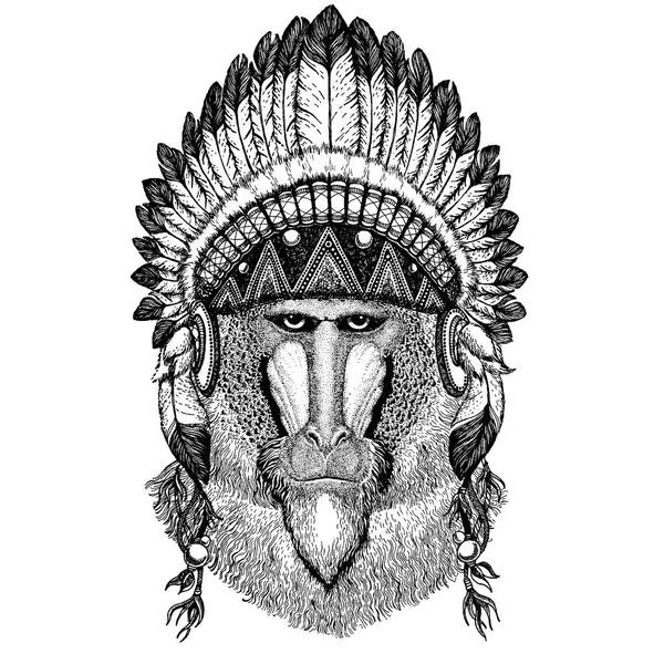 Dinero, babuino. Animal salvaje con tocado inidan con plumas. Ilustración de estilo boho chic para tatuaje, emblema, insignia, logotipo, parche. Ropa de niños — Archivo Imágenes Vectoriales