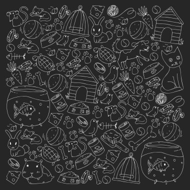 Evde beslenen hayvan dükkan. Vektör çizim hayvanlar, köpek, kedi, balık, kedi, kuş, köpek ile renkli arka plan ile. Veteriner Kliniği.