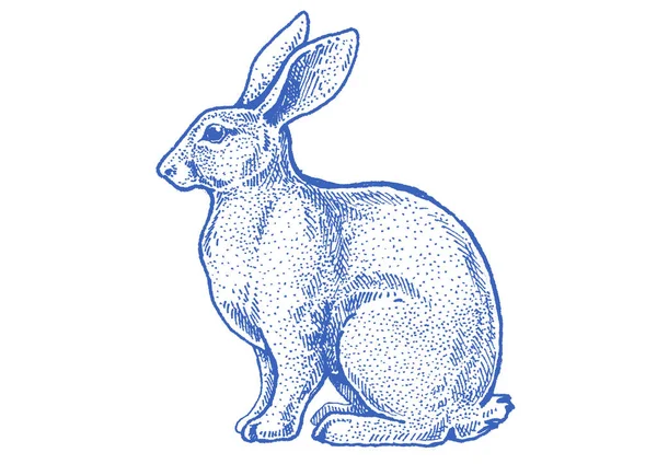 Rabbit, bunny. Vintage retro style classic illustration for steak house, menu, package — Stock Photo, Image