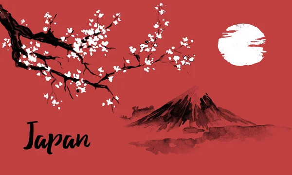 Japán hagyományos sumi-e festés. Sakura, cseresznyevirág. Fuji hegy. Tus illusztráció. Japán kép. — Stock Fotó