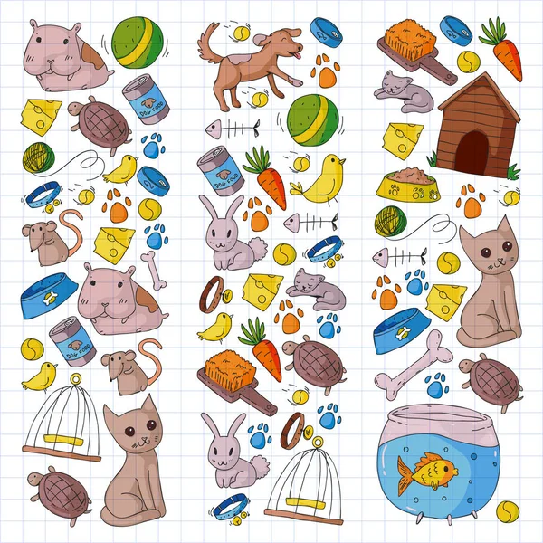 Animalerie. Illustration vectorielle avec animaux, chien, chat, poisson, fond coloré avec chaton, oiseau, chiot. Clinique vétérinaire . — Image vectorielle