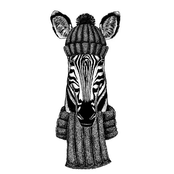 Zebra馬クールな動物のニットの冬の帽子を着用。暖かい帽子タトゥー、 Tシャツ、エンブレム、バッジ、ロゴ、パッチのためのビーニークリスマスキャップ — ストックベクタ