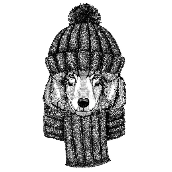 Wolf Dog Wild animal Cool animal wearing pletený zimní klobouk. Teplá čelenka čepice na tetování, tričko, znak, odznak, logo, náplast — Stockový vektor