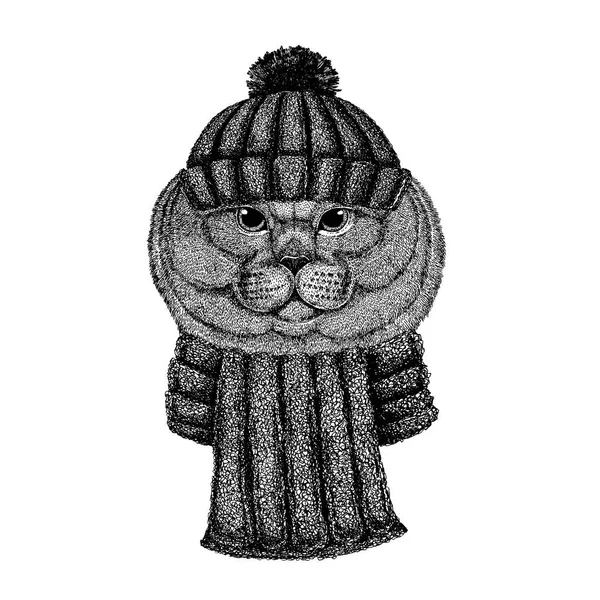 Βρετανική γάτα Δροσερό ζώο φορώντας πλεκτό χειμερινό καπέλο. Χριστουγεννιάτικο καπέλο για τατουάζ, t-shirt, έμβλημα, σήμα, λογότυπο, μπάλωμα — Διανυσματικό Αρχείο