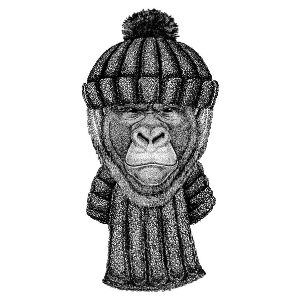 Gorilla, monkey, ape Cool animal wearing knitted winter hat. Warm headdress beanie Christmas cap for tattoo, t-shirt, emblem, badge, logo, patch — Stock Vector