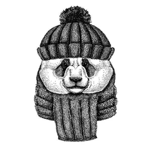 Bamboo bear. Panda. Cool animal wearing knitted winter hat. Warm headdress beanie Christmas cap for tattoo, t-shirt, emblem, badge, logo, patch — Stock Vector