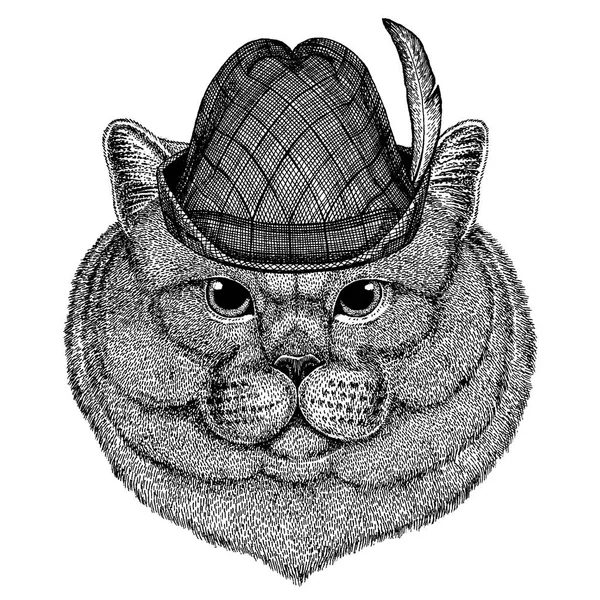 Brithish nobre gato Masculino Imagem desenhada à mão para tatuagem, emblema, crachá, logotipo, patch —  Vetores de Stock