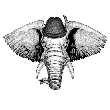 Fil geleneksel Bavyera tirol şapka takıyor. Oktoberfest.