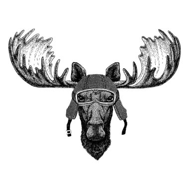 Hayvan motorycle kask giyiyor. Görüntü Anaokulu Çocuk Giyim, çocuklar için. T-shirt, dövme, amblem, rozet, logo yama