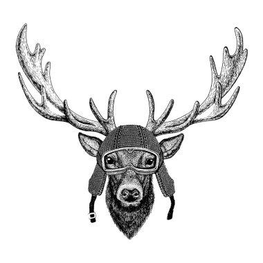 Hayvan motorycle kask giyiyor. Görüntü Anaokulu Çocuk Giyim, çocuklar için. T-shirt, dövme, amblem, rozet, logo yama