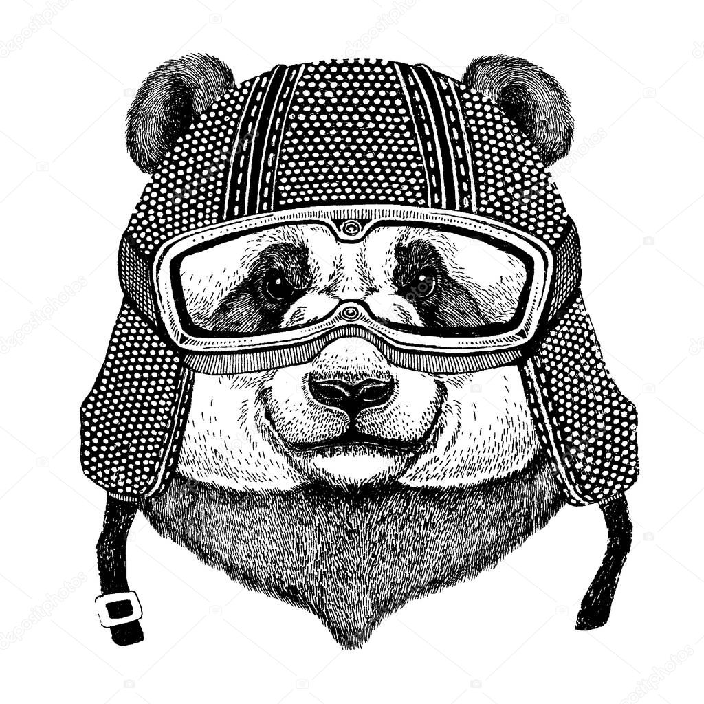Animal wearing motorycle helmet. Image for kindergarten children clothing, kids. T-shirt, tattoo, emblem, badge, logo patches