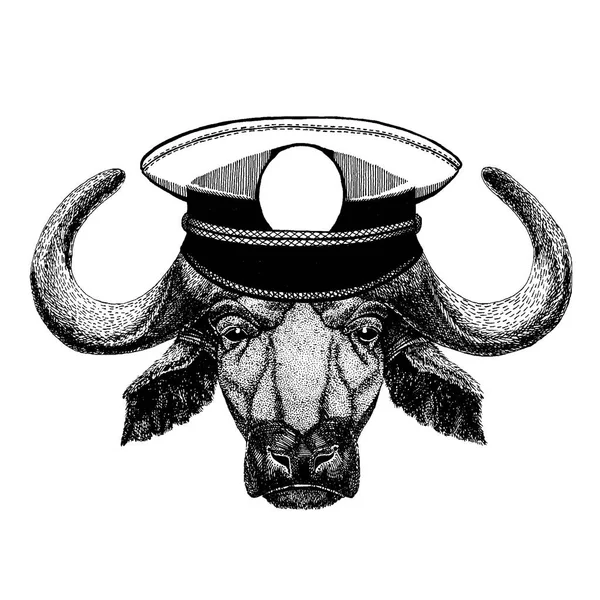 Buffalo, bull, ox handritad illustration för tatuering, emblem, badge, logotyp, patch, t-shirt — Stock vektor