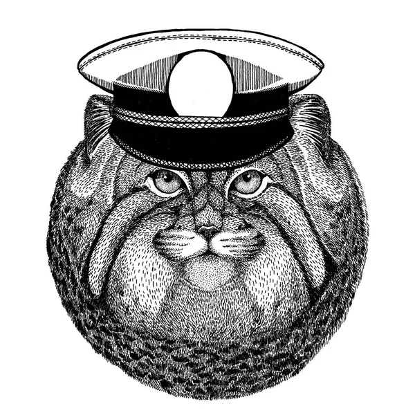 Wild cat Manul Imagen dibujada a mano para tatuaje, emblema, insignia, logotipo, parche — Archivo Imágenes Vectoriales