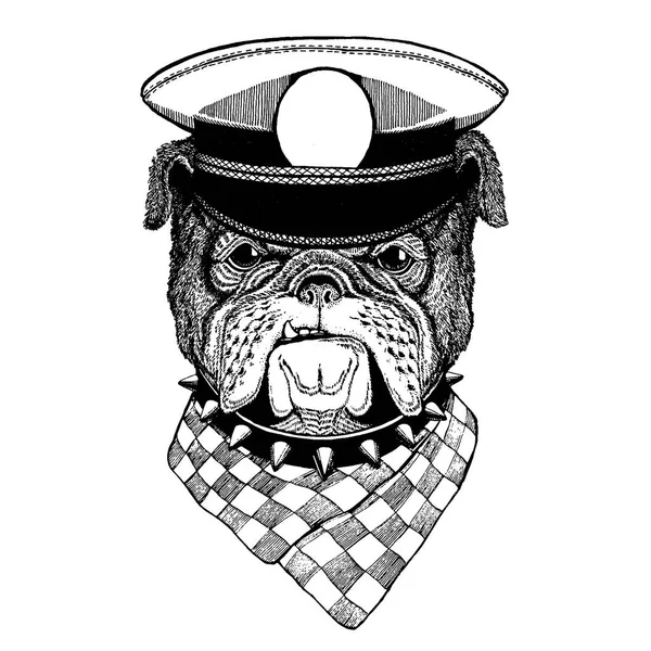 Bulldog Imagem vintage desenhada à mão para t-shirt, tatuagem, emblema, crachá, logotipo, patch — Vetor de Stock