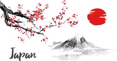 Japonya geleneksel sumi-e boyama. Sakura, kiraz çiçeği. Fuji Dağı. Hint mürekkebi çizimde. Japon resim.