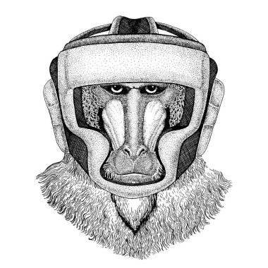 Boksör hayvan. Vektör çizim t-shirt için. Beyaz arka plan üzerinde izole spor, avcı. Güçlü kişi resmi Fitness