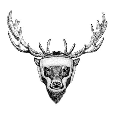 Boksör hayvan. Vektör çizim t-shirt için. Beyaz arka plan üzerinde izole spor, avcı. Güçlü kişi resmi Fitness