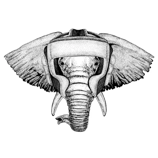 Boksör hayvan. Vektör çizim t-shirt için. Beyaz arka plan üzerinde izole spor, avcı. Güçlü kişi resmi Fitness