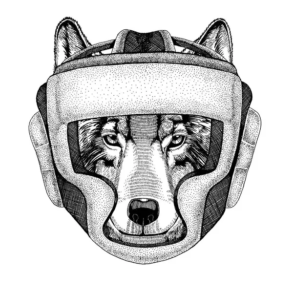 Lobo, cão. Um animal pugilista. Ilustração vetorial para camiseta. Esporte, lutador isolado em fundo branco. Ilustração de aptidão de pessoa forte —  Vetores de Stock