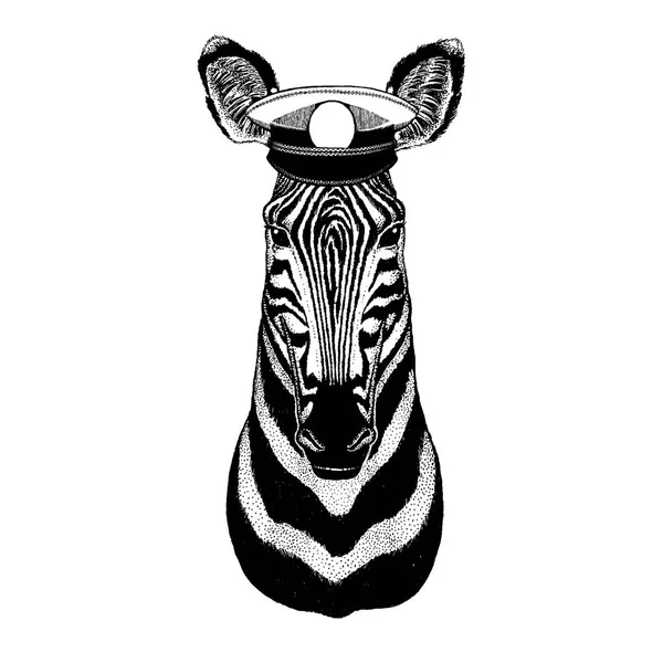 Zebra, ló kézzel rajzolt kép tetoválás, jelkép, jelvény, embléma, javítás, póló — Stock Vector