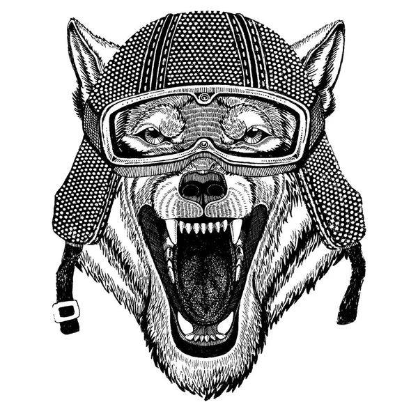 Animal usando capacete de motocicleta. Imagem para crianças do jardim de infância roupas, crianças. T-shirt, tatuagem, emblema, emblema, patch logotipo —  Vetores de Stock