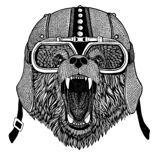 Oso Animal salvaje con motocicleta, casco aerodinámico. Ilustración de motociclistas para camisetas, carteles, estampados . — Vector de stock