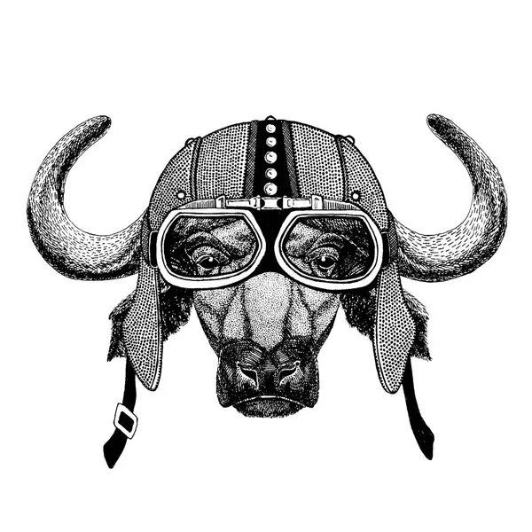 Buffalo, bika, ökör, motorkerékpár, aero sisak viselése. Motoros szemléltetése póló, plakátok, nyomtatványok. — Stock Vector