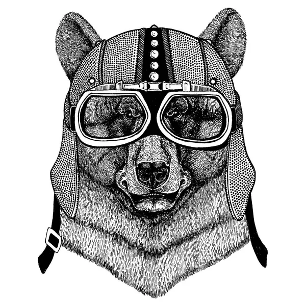 Oso negro Animal con motocicleta, casco aerodinámico. Ilustración de motociclistas para camisetas, carteles, estampados . — Archivo Imágenes Vectoriales