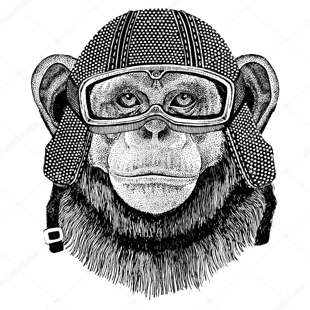 Animal wearing motorycle helmet. Image for kindergarten children clothing, kids. T-shirt, tattoo, emblem, badge, logo patch