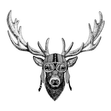 Geyik motosiklet, aero kask giyiyor. Motorcu gösterim amacıyla t-shirt, posterler, baskılar.