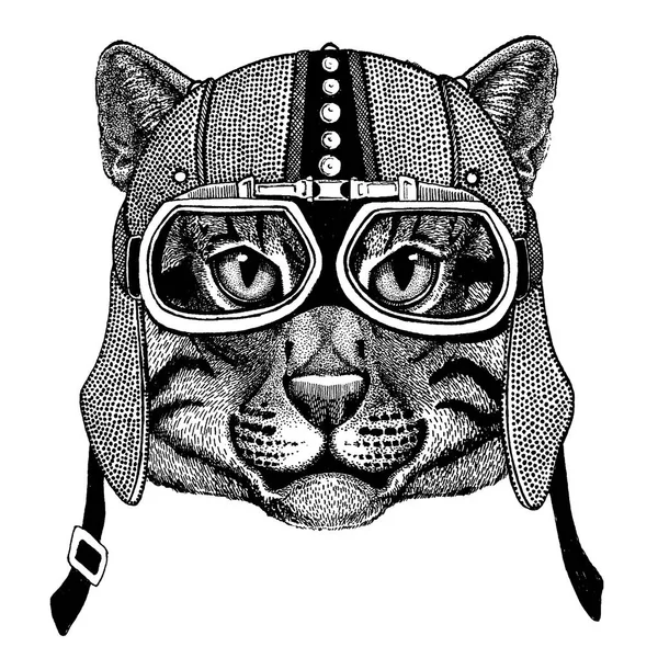 Animal con motocicleta, casco aerodinámico. Ilustración de motociclistas para camisetas, carteles, estampados . — Archivo Imágenes Vectoriales