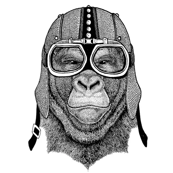 ゴリラ、猿、猿のバイク、エアロ ヘルメットを身に着けています。バイカー t シャツ、ポスター、イラストレーションを印刷します。. — ストックベクタ