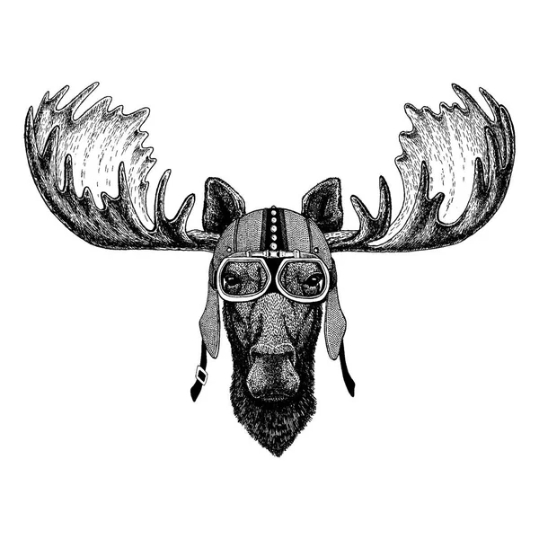 Moose, elk wearing motorcycle, aero helmet. Biker illustration for t-shirt, posters, prints. — Stock Vector