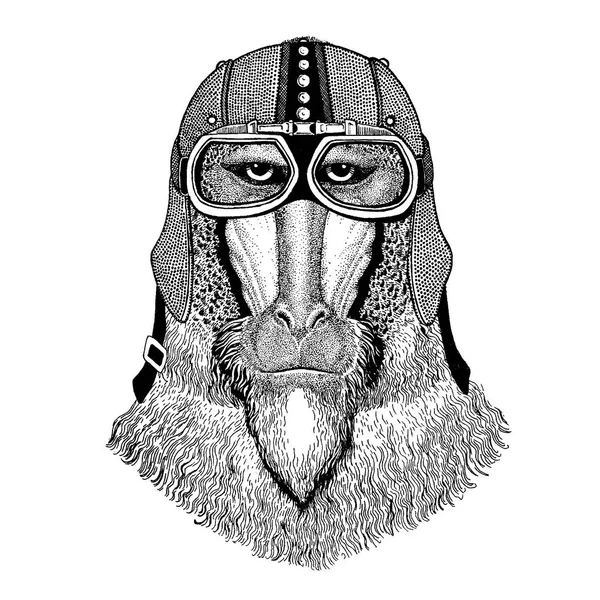 猴子,, 狗猿, 穿着摩托车的猿, 航空头盔。自行车插图为 t恤, 海报, 印刷品. — 图库矢量图片
