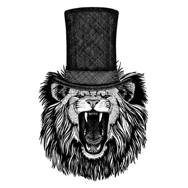 Vahşi hayvan giyen silindir şapka, silindir. Hipster aslan