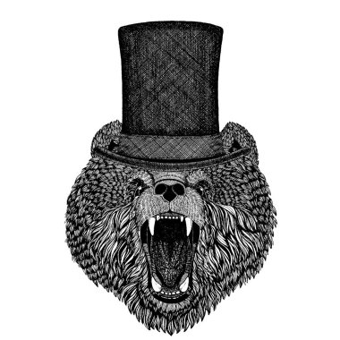 Vahşi hayvan giyen silindir şapka, silindir. Hipster ayı