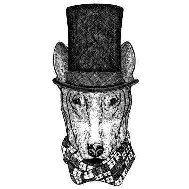 Vahşi hayvan giyen silindir şapka, silindir. Hipster köpek