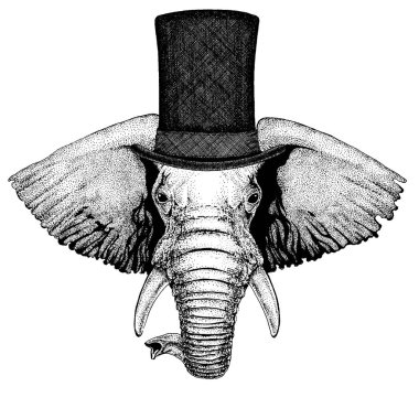 Vahşi hayvan giyen silindir şapka, silindir. Hipster fil