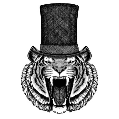 Vahşi hayvan giyen silindir şapka, silindir. Hipster Kaplan, kedi