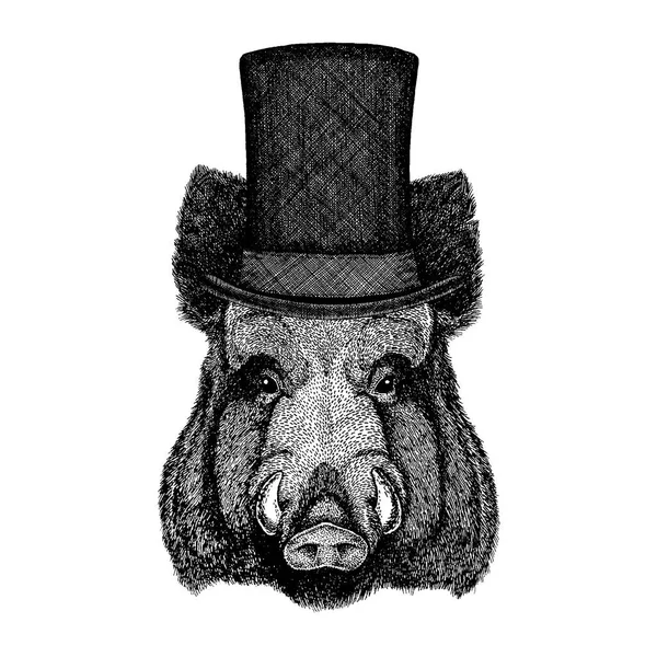 Animal sauvage portant un chapeau haut de forme, cylindre. Coiffeur, sanglier, porc — Image vectorielle
