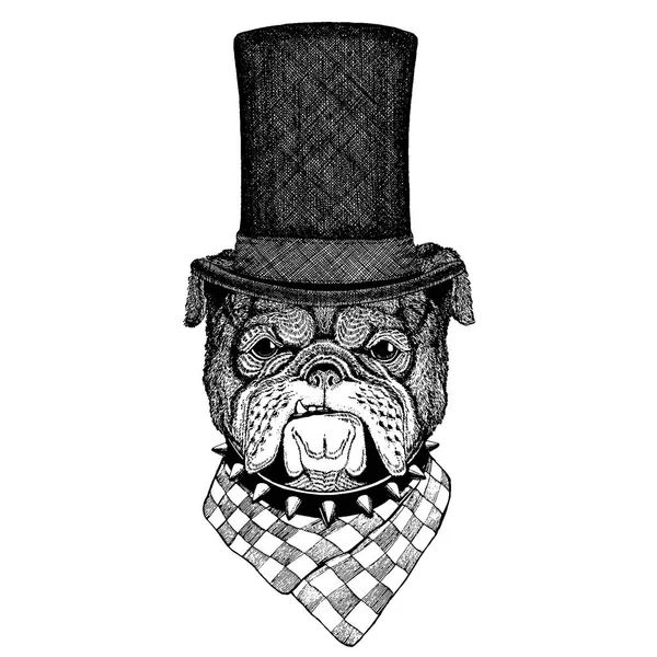 Άγρια ζώα φορώντας καπέλο κορυφή, κύλινδρος. Hipster σκύλος, μπουλντόγκ — Διανυσματικό Αρχείο
