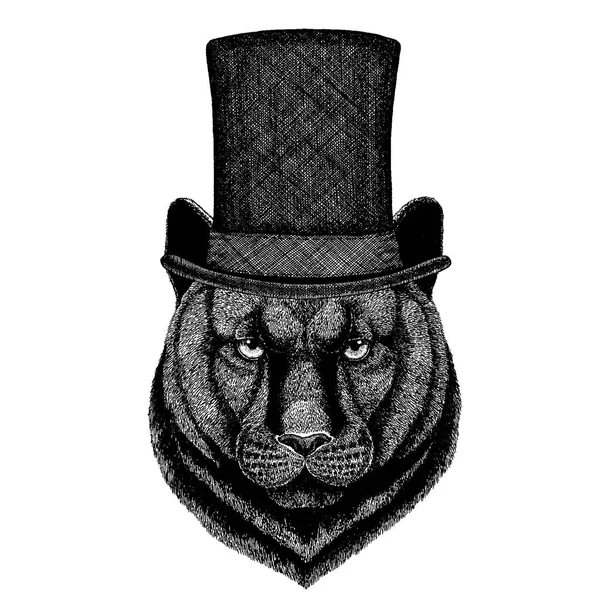 Animal selvagem usando chapéu superior, cilindro. pantera de Hipster, Puma, Cougar, gato —  Vetores de Stock