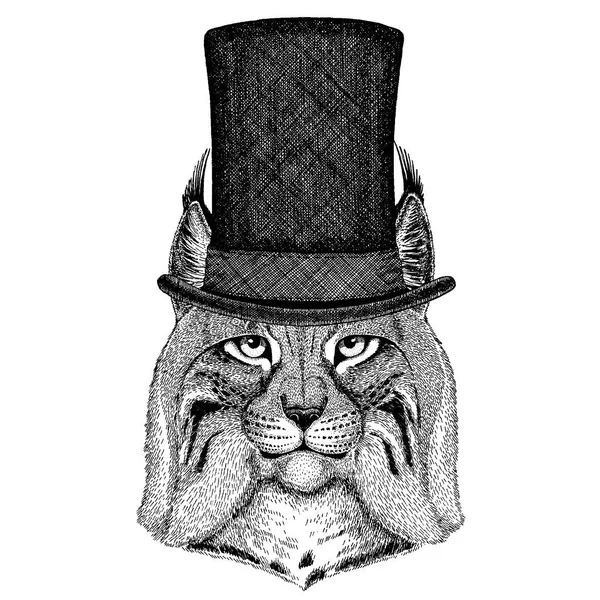 Άγρια ζώα φορώντας καπέλο κορυφή, κύλινδρος. Hipster άγρια γάτα, Lynx, Bobcat, τρέξιμο — Διανυσματικό Αρχείο