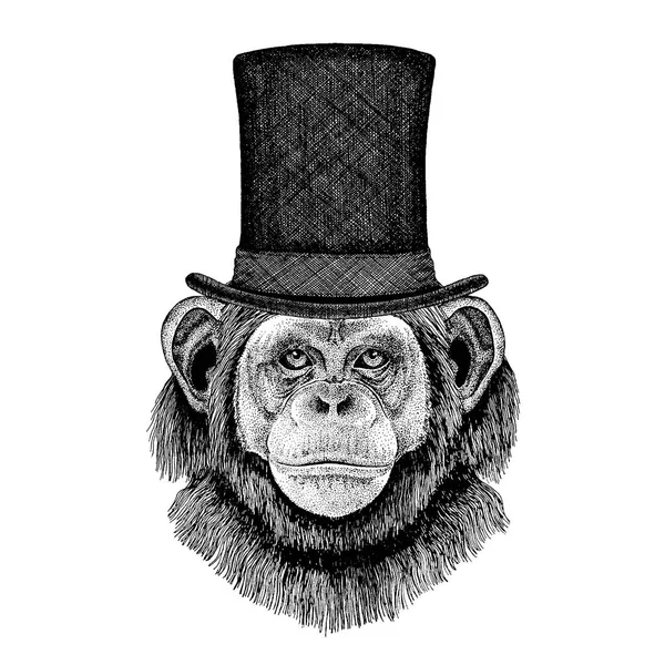 Animal salvaje con sombrero de copa, cilindro. Chimpancé Hipster, mono , — Archivo Imágenes Vectoriales