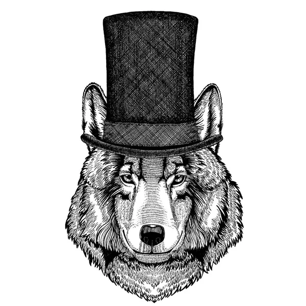 Animal salvaje con sombrero de copa, cilindro. Lobo Hipster — Archivo Imágenes Vectoriales