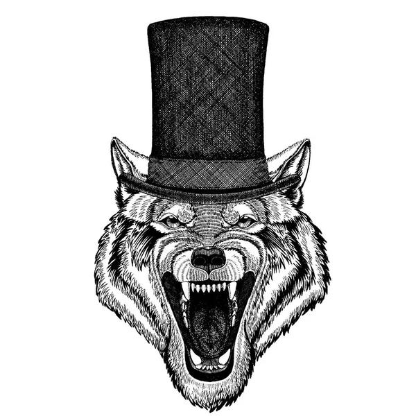 Wild animal wearing top hat, cylinder. Hipster wolf — Stock Vector