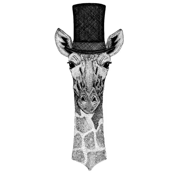 Animal sauvage portant un chapeau haut de forme, cylindre. Camélope hipster, girafe — Image vectorielle