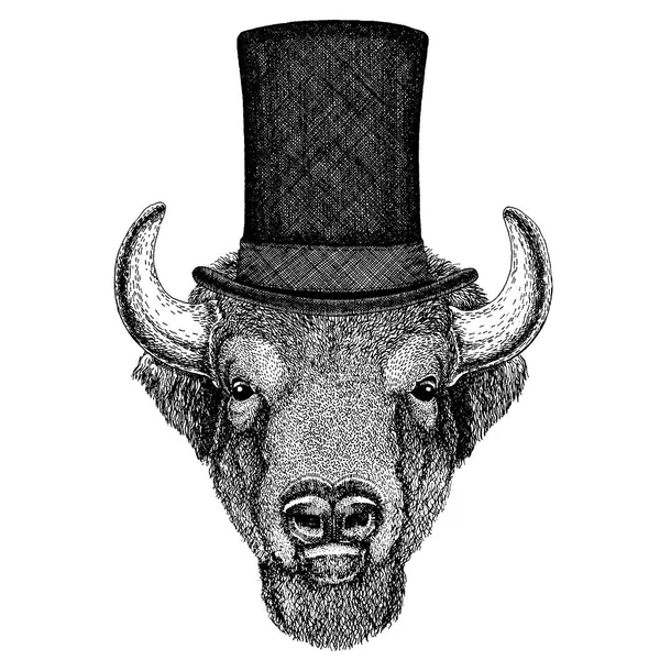 Animale selvatico con cappello a cilindro. Bufalo, bisonte, bue, toro — Vettoriale Stock