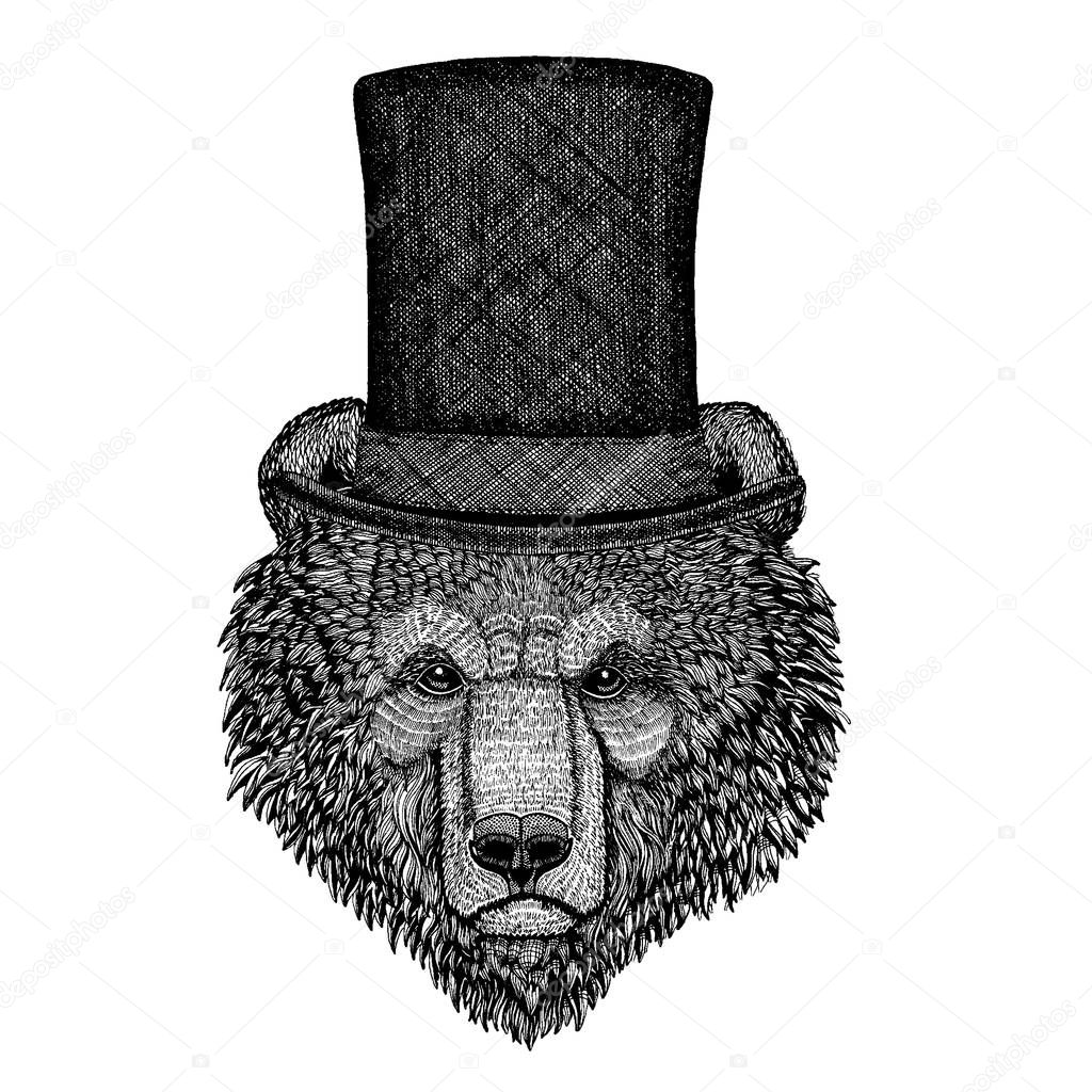 Wild animal wearing top hat, cylinder. Hipster bear