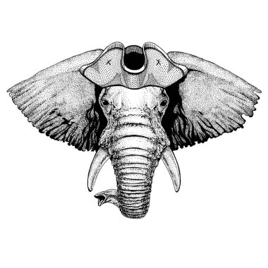 Afrika ya da Hindistan fil korsan tricorn şapka takıyor. Capitan kostüm.